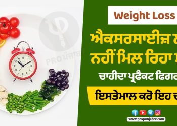 Weight Loss: ਐਕਸਰਸਾਈਜ਼ ਲਈ ਨਹੀਂ ਮਿਲ ਰਿਹਾ ਸਮਾਂ, ਚਾਹੀਦਾ ਪ੍ਰਫੈਕਟ ਫਿਗਰ ਤਾਂ ਇਸਤੇਮਾਲ ਕਰੋ ਇਹ ਚੀਜ਼ਾਂ