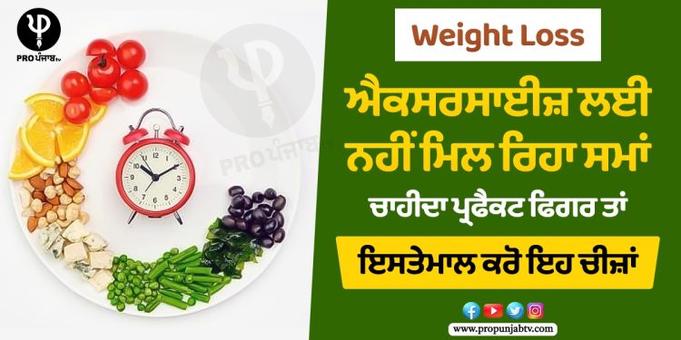 Weight Loss: ਐਕਸਰਸਾਈਜ਼ ਲਈ ਨਹੀਂ ਮਿਲ ਰਿਹਾ ਸਮਾਂ, ਚਾਹੀਦਾ ਪ੍ਰਫੈਕਟ ਫਿਗਰ ਤਾਂ ਇਸਤੇਮਾਲ ਕਰੋ ਇਹ ਚੀਜ਼ਾਂ