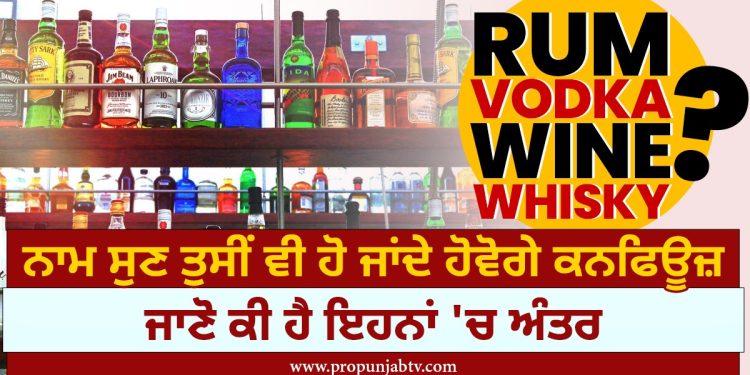 ਰੰਮ,ਵੋਡਕਾ,ਵਾਇਨ,ਵਿਸਕੀ ਦਾ ਨਾਮ ਸੁਣ ਤੁਸੀਂ ਵੀ ਹੋ ਜਾਂਦੇ ਹੋਵੋਗੇ ਕਨਫਿਊਜ਼,ਜਾਣੋ ਕੀ ਹੈ ਇਹਨਾਂ 'ਚ ਅੰਤਰ...