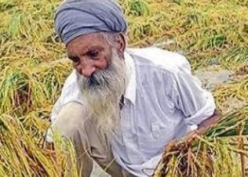 farmers-600x375