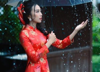 pexels-viễn-đông-3218724