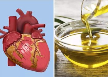 Oil for Heart : ਦਿਲ ਨੂੰ ਲੰਬੇ ਸਮੇਂ ਤਕ ਰੱਖਣਾ ਹੈ ਸਿਹਤਮੰਦ ਤਾਂ ਇਨ੍ਹਾਂ ਤੇਲ 'ਚ ਪਕਾਓ ਖਾਣਾ