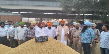 ਪੰਜਾਬ ਦੀਆਂ ਅਨਾਜ ਮੰਡੀਆਂ ਵਿੱਚ ਹੁਣ ਤੱਕ 1,12,46,266 ਮੀਟਰਕ ਟਨ ਝੋਨੇ ਦੀ ਆਮਦ : ਕੁਲਦੀਪ ਸਿੰਘ ਧਾਲੀਵਾਲ