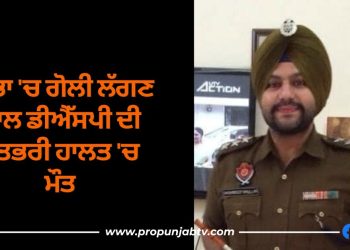 DSP Nabha