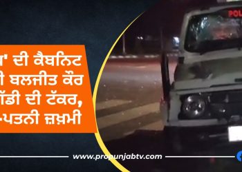 Dr Baljit Kaur Vehicle Accident