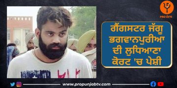 Jaggu Bhagwanpuria