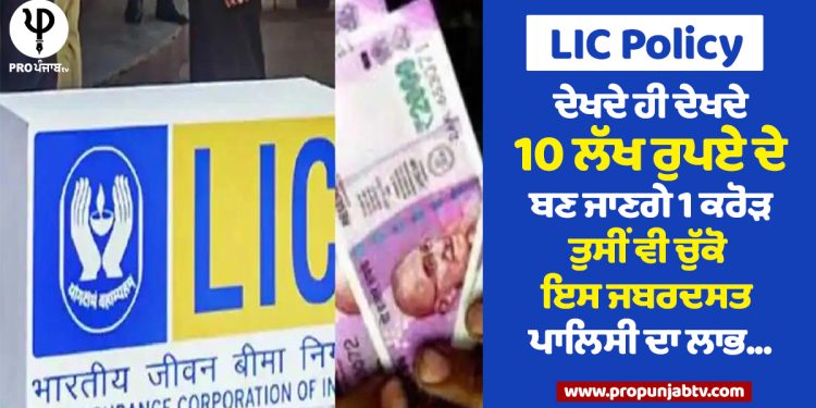 LIC Policy : ਦੇਖਦੇ ਹੀ ਦੇਖਦੇ 10 ਲੱਖ ਰੁਪਏ ਦੇ ਬਣ ਜਾਣਗੇ 1 ਕਰੋੜ, ਤੁਸੀਂ ਵੀ ਚੁੱਕੋ ਇਸ ਜਬਰਦਸਤ ਪਾਲਿਸੀ ਦਾ ਲਾਭ...