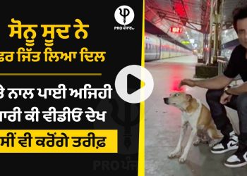Sonu Sood won the heart again, such a friend with a dog, watch the video and you will appreciate