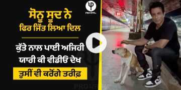 Sonu Sood won the heart again, such a friend with a dog, watch the video and you will appreciate