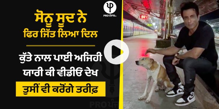 Sonu Sood won the heart again, such a friend with a dog, watch the video and you will appreciate