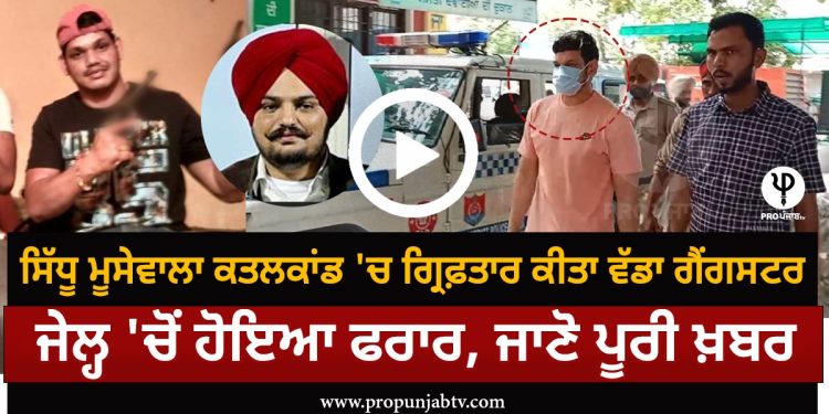 VIDEO: ਸਿੱਧੂ ਮੂਸੇਵਾਲਾ ਕਤਲਕਾਂਡ 'ਚ ਗ੍ਰਿਫ਼ਤਾਰ ਕੀਤਾ ਵੱਡਾ ਗੈਂਗਸਟਰ, ਜੇਲ੍ਹ 'ਚੋਂ ਹੋਇਆ ਫਰਾਰ, ਜਾਣੋ ਪੂਰੀ ਖ਼ਬਰ