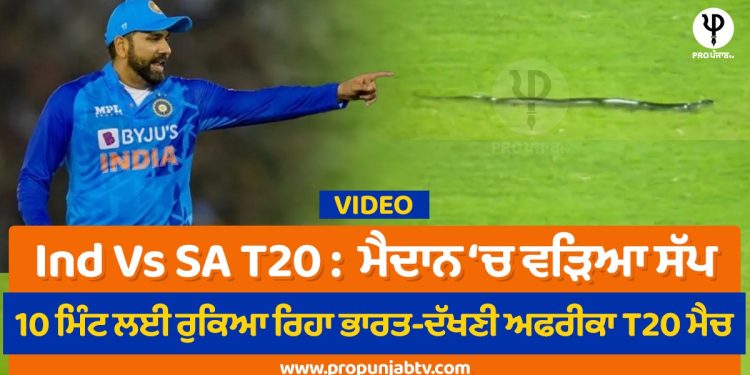 Ind Vs SA T20 : ਮੈਦਾਨ 'ਚ ਵੜਿਆ ਸੱਪ, 10 ਮਿੰਟ ਲਈ ਰੁਕਿਆ ਰਿਹਾ ਭਾਰਤ-ਦੱਖਣੀ ਅਫਰੀਕਾ T20 ਮੈਚ, Video