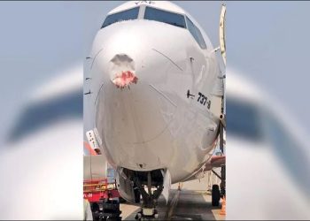 Akasa Air ਦੀ ਫਲਾਈਟ ਨਾਲ ਟਕਰਾਇਆ ਪੰਛੀ, ਦਿੱਲੀ ਏਅਰਪੋਰਟ 'ਤੇ ਕੀਤੀ ਲੈਂਡਿੰਗ ਤੋਂ ਬਾਅਦ ਨਜ਼ਰ ਆਇਆ ਡੈਮੇਜ਼