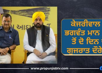 bhagwant mann and Kejriwal gujarat