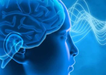 brain-power