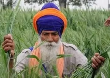 farmerpunjabpti