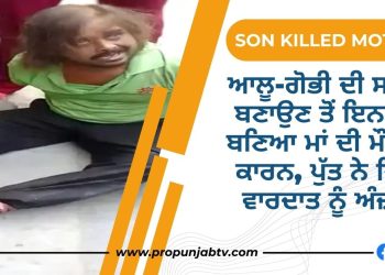 son killed mother in Ludhiana