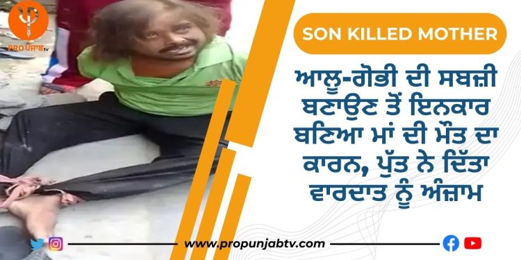 son killed mother in Ludhiana