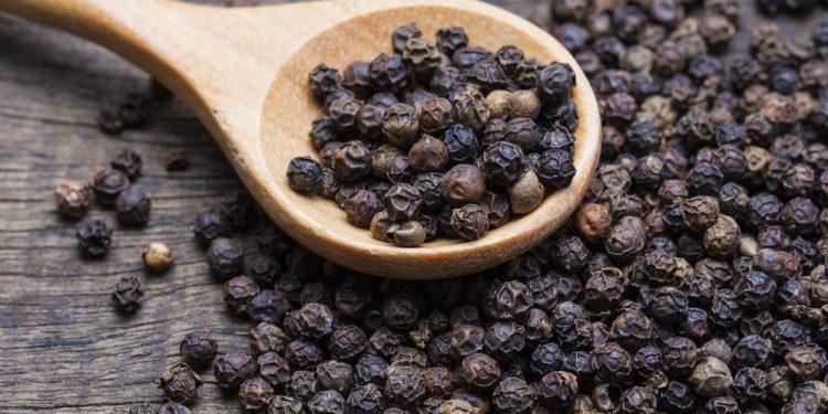 Black pepper-ਤੁਹਾਡੀ ਰਸੋਈ 'ਚ ਰੱਖੀ ਕਾਲੀ ਮਿਰਚ ਸਵਾਦ 'ਚ ਭਾਵੇਂ ਤਿੱਖੀ ਹੋਵੇ ਪਰ ਇਹ ਸ਼ੁਗਰ ਲਈ ਬਹੁਤ ਫਾਇਦੇਮੰਦ ਹੈ। ਦਰਅਸਲ, ਕਾਲੀ ਮਿਰਚ ਵਿੱਚ ਬਲੱਡ ਸ਼ੂਗਰ ਲੈਵਲ ਨੂੰ ਘੱਟ ਕਰਨ ਦੇ ਗੁਣ ਹੁੰਦੇ ਹਨ। ਕਾਲੀ ਮਿਰਚ 'ਚ 'ਪਾਈਪਰੀਨ' ਨਾਂ ਦਾ ਤੱਤ ਮੌਜੂਦ ਹੁੰਦਾ ਹੈ, ਜੋ ਬਲੱਡ ਸ਼ੂਗਰ ਦੇ ਪੱਧਰ ਨੂੰ ਘੱਟ ਕਰਨ 'ਚ ਕਾਰਗਰ ਸਾਬਤ ਹੁੰਦਾ ਹੈ। ਤੁਸੀਂ ਸਲਾਦ, ਚਾਹ ਜਾਂ ਸਬਜ਼ੀ ਵਿੱਚ ਕਾਲੀ ਮਿਰਚ ਦੀ ਵਰਤੋਂ ਕਰ ਸਕਦੇ ਹੋ।