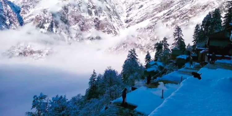 Snowfall Himacha : ਹਿਮਾਚਲ ਪ੍ਰਦੇਸ਼ ਦੇ ਰੋਹਤਾਂਗ, ਲਾਹੌਲ-ਸਪੀਤੀ ਦੇ ਉੱਚਾਈ ਵਾਲੇ ਰਿਹਾਇਸ਼ੀ ਇਲਾਕਿਆਂ ਨੇ ਬਰਫ਼ ਦੀ ਚਿੱਟੀ ਚਾਦਰ ਨੂੰ ਢੱਕ ਲਿਆ ਹੈ। ਦੂਜੇ ਪਾਸੇ ਸਿਰਮੌਰ ਦੇ ਪ੍ਰਸਿੱਧ ਧਾਰਮਿਕ ਅਤੇ ਸੈਰ-ਸਪਾਟਾ ਸਥਾਨ ਚੂਹੜਧਾਰ ਅਤੇ ਚੰਬਾ ਦੇ ਕਿੱਲੜ ਵਿੱਚ ਇਸ ਸਰਦੀ ਦੇ ਮੌਸਮ ਦੀ ਪਹਿਲੀ ਬਰਫਬਾਰੀ ਹੋਈ ਹੈ। ਰੋਹਤਾਂਗ ਦੱਰੇ ਸਮੇਤ ਲਾਹੌਲ-ਸਪੀਤੀ ਦੇ ਉੱਚਾਈ ਵਾਲੇ ਰਿਹਾਇਸ਼ੀ ਇਲਾਕਿਆਂ 'ਚ ਪਿਛਲੇ ਦੋ ਦਿਨਾਂ ਤੋਂ ਰੁਕ-ਰੁਕ ਕੇ ਬਰਫਬਾਰੀ ਹੋ ਰਹੀ ਹੈ। ਸ਼ੁੱਕਰਵਾਰ ਨੂੰ ਘਾਟੀ ਦੇ ਪ੍ਰਵੇਸ਼ ਦੁਆਰ ਕੋਕਸਰ ਸਮੇਤ ਪੱਤਣ ਖੇਤਰ ਦੇ ਕਈ ਪਿੰਡਾਂ 'ਚ ਬਾਰਿਸ਼ ਦੇ ਨਾਲ-ਨਾਲ ਹਲਕੀ ਬਰਫਬਾਰੀ ਹੋਈ।