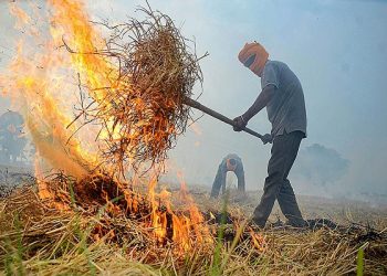 Stubble Burning