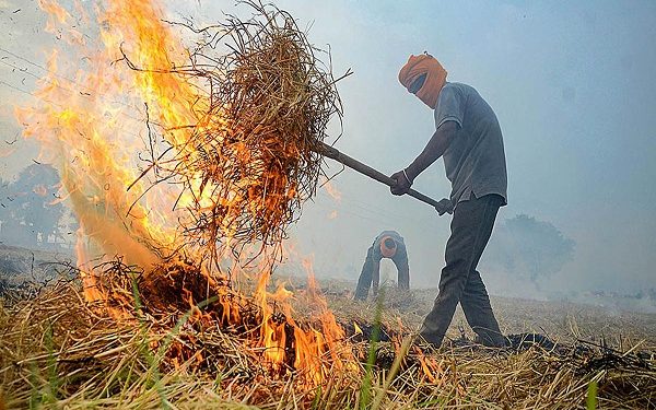 Stubble Burning