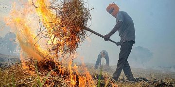 Stubble Burning