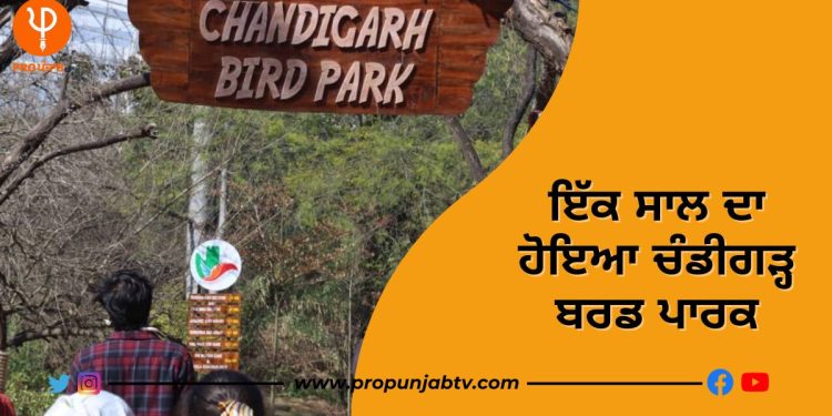 chandigarh bird park