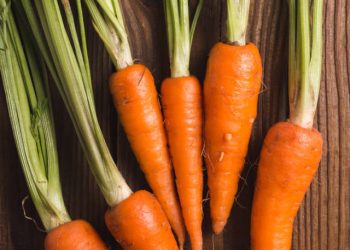 cropped-Carrots-640x853