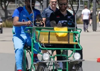 vbqb6278_hardik-pandya-kane-williamson-806_625x300_16_November_22