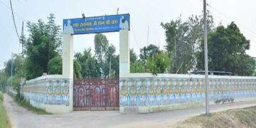 dera sacha sauda