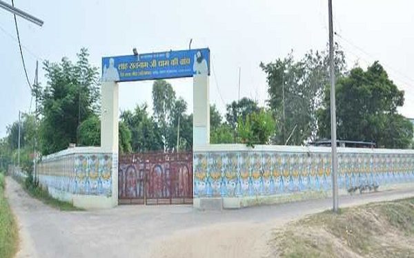 dera sacha sauda