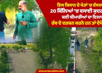  OrganicFarming: ਇਸ ਕਿਸਾਨ ਦੇ ਖੇਤਾਂ 'ਚ ਵੱਸਦਾ ਰੱਬ, 20 ਕਿੱਲਿਆਂ 'ਚ ਵਸਾਈ ਕੁਦਰਤ ਨਾਲ ਕਈ ਬੀਮਾਰੀਆਂ ਦਾ ਇਲਾਜ, ਰੱਬ ਦੇ ਦਰਸ਼ਨ ਕਰਨੇ ਹਨ ਤਾਂ ਦੇਖੋ ਵੀਡੀਓ