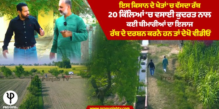  OrganicFarming: ਇਸ ਕਿਸਾਨ ਦੇ ਖੇਤਾਂ 'ਚ ਵੱਸਦਾ ਰੱਬ, 20 ਕਿੱਲਿਆਂ 'ਚ ਵਸਾਈ ਕੁਦਰਤ ਨਾਲ ਕਈ ਬੀਮਾਰੀਆਂ ਦਾ ਇਲਾਜ, ਰੱਬ ਦੇ ਦਰਸ਼ਨ ਕਰਨੇ ਹਨ ਤਾਂ ਦੇਖੋ ਵੀਡੀਓ