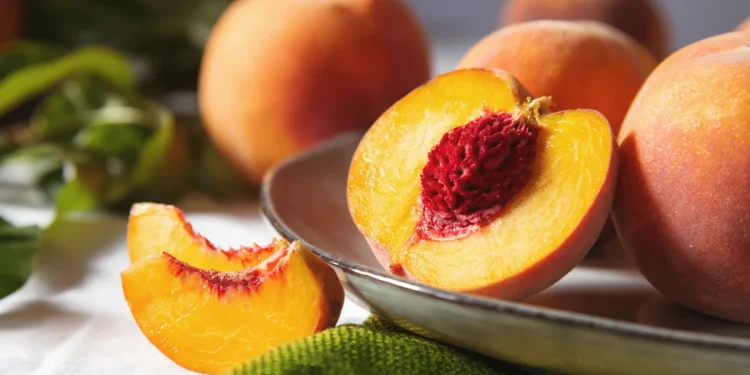 Peaches of Health: ਆਧੁਨਿਕ ਸਮੇਂ 'ਚ ਸਿਹਤਮੰਦ ਰਹਿਣਾ ਇੱਕ ਵੱਡੀ ਚੁਣੌਤੀ ਹੈ। ਇਸ ਦੇ ਲਈ ਸੰਤੁਲਿਤ ਖੁਰਾਕ ਲਓ ਤੇ ਰੋਜ਼ਾਨਾ ਕਸਰਤ ਕਰੋ। ਸੰਤੁਲਿਤ ਆਹਾਰ 'ਚ ਸਾਰੇ ਜ਼ਰੂਰੀ ਪੋਸ਼ਕ ਤੱਤ ਪਾਏ ਜਾਂਦੇ ਹਨ, ਜੋ ਕਈ ਤਰ੍ਹਾਂ ਦੀਆਂ ਬਿਮਾਰੀਆਂ ਦੇ ਪ੍ਰਭਾਵ ਨੂੰ ਘੱਟ ਕਰਨ ਵਿੱਚ ਫਾਇਦੇਮੰਦ ਹੁੰਦੇ ਹਨ।