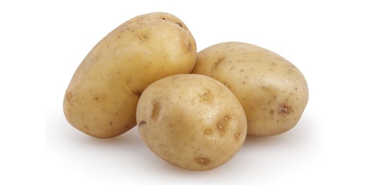 Potatoes isolated on white background, raw root vegetable. Recleared for Use,Getty June 2018