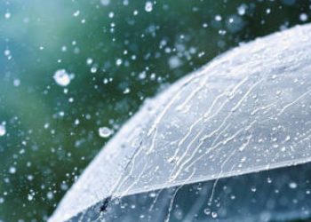 istockphoto-1257951336-612x612