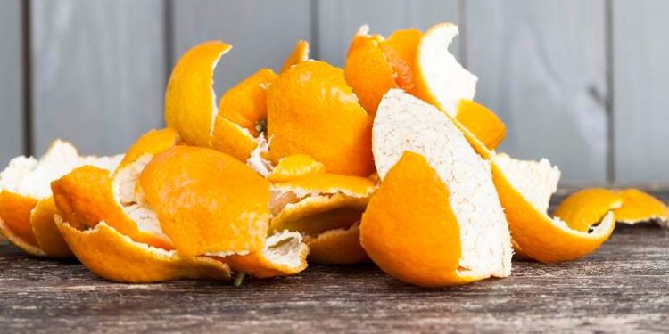 Orange Peels Benefits: ਵਿਟਾਮਿਨ C ਵਰਗੇ ਪੋਸ਼ਕ ਤੱਤਾਂ ਨਾਲ ਭਰਪੂਰ ਸੰਤਰਾ ਸਿਹਤ ਲਈ ਬਹੁਤ ਫਾਇਦੇਮੰਦ ਮੰਨਿਆ ਜਾਂਦਾ ਹੈ। ਸੰਤਰਾ ਖਾਣ ਦੇ ਬਹੁਤ ਸਾਰੇ ਫਾਇਦੇ ਹਨ, ਇਸ ਦਾ ਜੂਸ ਵੀ ਬਹੁਤ ਫਾਇਦੇਮੰਦ ਹੁੰਦਾ ਹੈ। ਜ਼ਿਆਦਾਤਰ ਲੋਕ ਸੰਤਰੇ ਨੂੰ ਛਿੱਲ ਕੇ ਖਾਂਦੇ ਹਨ ਅਤੇ ਇਸ ਦੇ ਛਿਲਕੇ ਨੂੰ ਬਾਹਰ ਸੁੱਟ ਦਿੰਦੇ ਹਨ। ਸੰਤਰੇ ਦੀ ਤਰ੍ਹਾਂ ਇਸ ਦੇ ਛਿਲਕੇ ਵੀ ਔਸ਼ਧੀ ਗੁਣਾਂ ਨਾਲ ਭਰਪੂਰ ਹੁੰਦੇ ਹਨ। ਸੰਤਰੇ ਦੇ ਛਿਲਕੇ ਸਿਰਫ਼ ਸਿਹਤ ਲਈ ਹੀ ਨਹੀਂ ਬਲਕਿ ਸੁੰਦਰਤਾ ਵਧਾਉਣ ਲਈ ਵੀ ਫਾਇਦੇਮੰਦ ਹੁੰਦੇ ਹਨ।