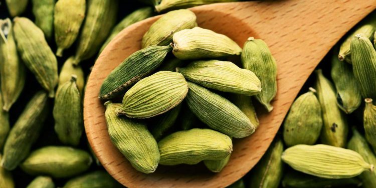 Benefits of Cardamom: ਇਲਾਇਚੀ ਦੇ ਇੰਨੇ ਫਾਇਦੇ ਹੁੰਦੇ ਹਨ, ਕਿ ਤੁਸੀਂ ਜਾਣ ਕੇ ਹੈਰਾਨ ਰਹਿ ਜਾਓਗੇ। ਇਲਾਇਚੀ ਬੇਸ਼ੱਕ ਛੋਟੀ ਹੁੰਦੀ ਹੈ, ਪਰ ਇਹ ਸਾਨੂੰ ਕਈ ਤਰੀਕਿਆਂ ਨਾਲ ਲਾਭ ਪਹੁੰਚਾਉਂਦੀ ਹੈ। ਇਸ ਦੀ ਖੁਸ਼ਬੂ ਵੀ ਬਹੁਤ ਵਧੀਆ ਹੁੰਦੀ ਹੈ, ਇਹ ਨਾ ਸਿਰਫ਼ ਖਾਣੇ ਦਾ ਸਵਾਦ ਵਧਾਉਣ ਦਾ ਕੰਮ ਕਰਦੀ ਹੈ, ਸਗੋਂ ਇਸ ਦਾ ਸੇਵਨ ਕਰਨ ਨਾਲ ਸਾਡੀ ਸਿਹਤ ਵੀ ਚੰਗੀ ਰਹਿੰਦੀ ਹੈ।