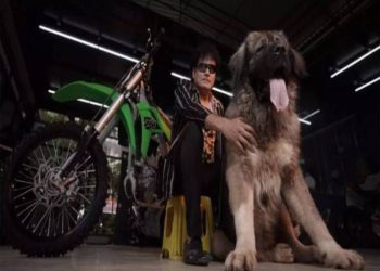 Caucasian Shepherd Dog: ਕੁੱਤਿਆਂ ਦੀਆਂ ਮਹਿੰਗੀਆਂ ਨਸਲਾਂ ਲਈ ਜਾਣੇ ਜਾਂਦੇ ਬੈਂਗਲੁਰੂ ਦੇ ਇੱਕ ਵਿਅਕਤੀ ਨੂੰ ਹਾਲ ਹੀ ਵਿੱਚ ਹੈਦਰਾਬਾਦ ਦੇ ਇੱਕ ਬਿਲਡਰ ਨੇ ਆਪਣੇ ਕਾਕੇਸ਼ੀਅਨ ਸ਼ੈਫਰਡ ਕੁੱਤੇ ਲਈ 20 ਕਰੋੜ ਰੁਪਏ ਦੀ ਪੇਸ਼ਕਸ਼ ਕੀਤੀ।