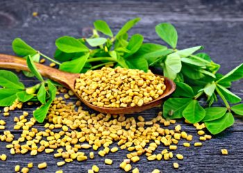 Fenugreek seeds in a spoon and on a table with green leaves against a black wooden board