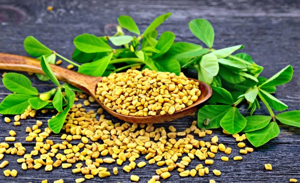 Fenugreek seeds in a spoon and on a table with green leaves against a black wooden board