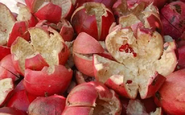 Pomegranate Peel Benefits: ਅਨਾਰ ਦਾ ਛਿਲਕਾ ਐਂਟੀਆਕਸੀਡੈਂਟਸ ਨਾਲ ਭਰਪੂਰ ਹੁੰਦਾ ਹੈ। ਇਹ ਵੀ ਮੰਨਿਆ ਜਾਂਦਾ ਹੈ ਕਿ ਅਨਾਰ ਦੇ ਛਿਲਕੇ 'ਚ ਅਨਾਰ ਨਾਲੋਂ ਜ਼ਿਆਦਾ ਐਂਟੀਆਕਸੀਡੈਂਟ ਹੁੰਦੇ ਹਨ। ਅਜਿਹੇ 'ਚ ਕਦੇ ਵੀ ਅਨਾਰ ਦੇ ਛਿਲਕੇ ਨੂੰ ਖਾਣ ਤੋਂ ਬਾਅਦ ਸੁੱਟਣ ਦੀ ਗਲਤੀ ਨਾ ਕਰੋ। ਇਸ ਦੀ ਬਜਾਏ ਇਸ ਨੂੰ ਸੁਕਾਓ ਤੇ ਫਿਰ ਪਾਊਡਰ ਬਣਾ ਕੇ ਵਰਤੋਂ ਕਰੋ।