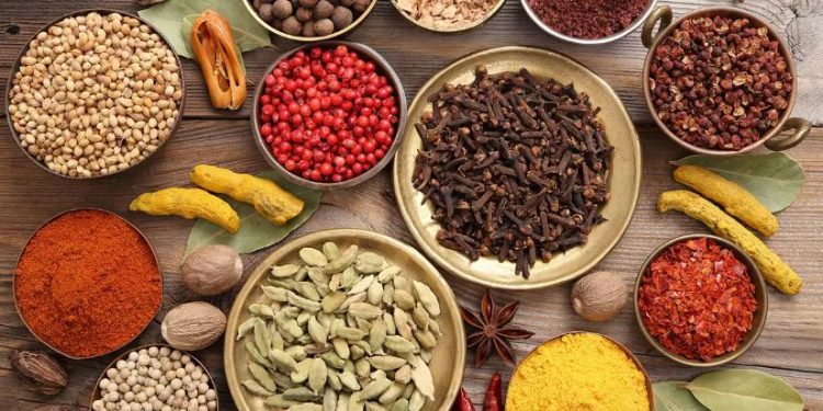 Indian Spices: ਮਸਾਲੇ ਤੇ ਸੀਜ਼ਨਿੰਗ ਭਾਰਤੀ ਪਕਵਾਨਾਂ ਦਾ ਦਿਲ ਹਨ ਅਤੇ ਲਗਪਗ ਹਰ ਭਾਰਤੀ ਪਕਵਾਨਾਂ 'ਚ ਮੌਜੂਦ ਹਨ। ਇਸ ਤੋਂ ਇਲਾਵਾ, ਭਾਰਤੀ ਮਸਾਲੇ ਵੱਖ-ਵੱਖ ਸਿਹਤ ਲਾਭਾਂ ਨਾਲ ਭਰੇ ਹੋਏ ਹਨ ਜੋ ਉਨ੍ਹਾਂ ਨੂੰ ਦੁਨੀਆ ਦੇ ਬਾਕੀ ਮਸਾਲਿਆਂ ਤੋਂ ਵੱਖਰਾ ਰੱਖਦੇ ਹਨ।