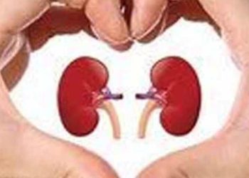 1600x960_1280757-kidney