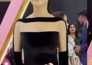 shehnaaz gill troll