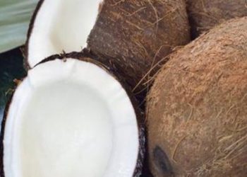 coconut-benefits1_20180528981