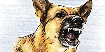 ਸੰਕੇਤਕ ਤਸਵੀਰ