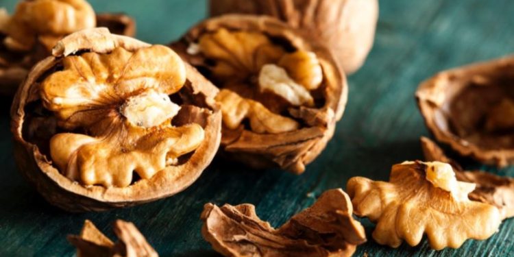 National Walnut Day: ਹਰ ਸਾਲ 17 ਮਈ ਨੂੰ ਅਖਰੋਟ ਦਿਵਸ ਵਜੋਂ ਮਨਾਇਆ ਜਾਂਦਾ ਹੈ। ਇਸ ਦਿਨ ਲੋਕਾਂ ਵਿੱਚ ਜਾਗਰੂਕਤਾ ਫੈਲਾਈ ਜਾਂਦੀ ਹੈ ਕਿ ਸਿਹਤ ਲਈ ਪੌਸ਼ਟਿਕ ਤੱਤ ਕਿੰਨੇ ਜ਼ਰੂਰੀ ਹਨ। ਅਜਿਹੇ 'ਚ ਅੱਜ ਇਸ ਆਰਟੀਕਲ 'ਚ ਅਸੀਂ ਤੁਹਾਨੂੰ ਡਾਈਟ 'ਚ ਅਖਰੋਟ ਨੂੰ ਸ਼ਾਮਲ ਕਰਨ ਦੇ ਫਾਇਦਿਆਂ ਬਾਰੇ ਦੱਸਾਂਗੇ, ਤਾਂ ਜੋ ਤੁਸੀਂ ਵੀ ਇਸ ਦਾ ਫਾਇਦਾ ਉਠਾ ਸਕੋ।