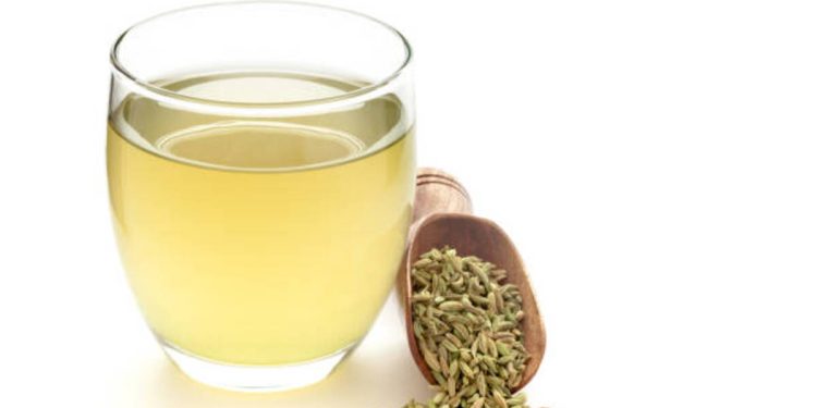 Fennel Water Health Benefits: ਸੌਂਫ ਹਰ ਵਿਅਕਤੀ ਦੇ ਘਰ ਵਿੱਚ ਜ਼ਰੂਰ ਪਾਈ ਜਾਂਦੀ ਹੈ। ਆਮ ਤੌਰ 'ਤੇ ਲੋਕ ਮੂੰਹ 'ਚ ਸੌਂਫ ਚਬਾਉਣਾ ਜਾਂ ਖਾਣਾ ਪਸੰਦ ਕਰਦੇ ਹਨ। ਦੱਸ ਦੇਈਏ ਕਿ ਸੌਂਫ ਦੇ ਬਹੁਤ ਸਾਰੇ ਫਾਇਦੇ ਹਨ।